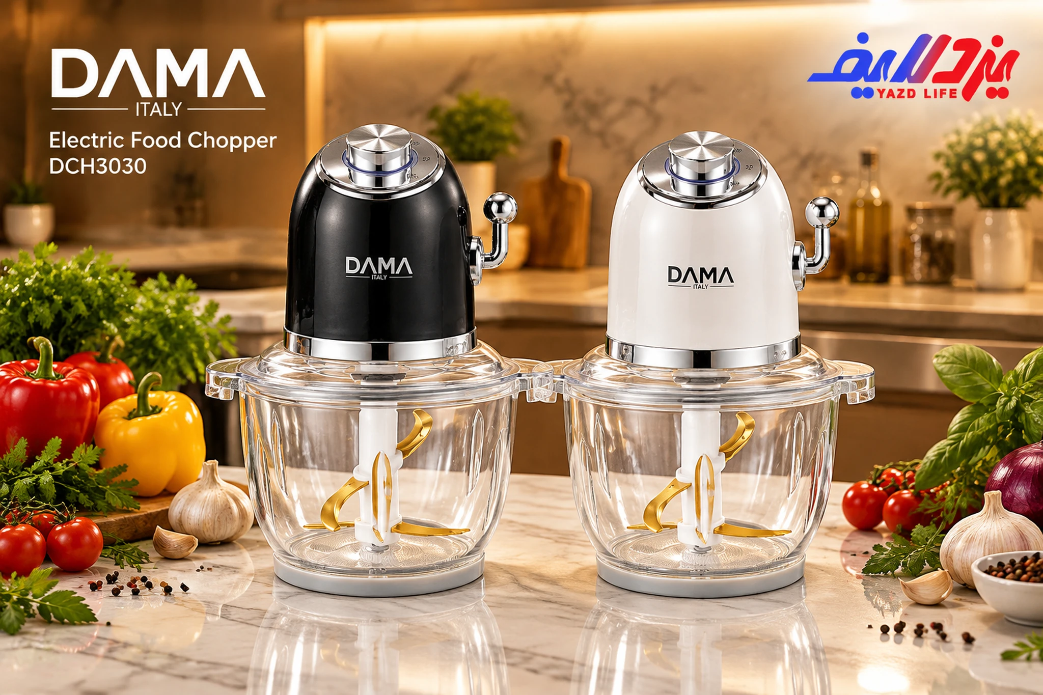 خردکن برقی داما مدل DCH3030 اصل ایتالیا